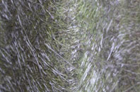 Grassington fibreglass roof work